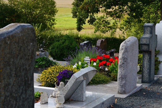 Bild vergrößern: Das Bild zeigt Gräber mit Grabsteinen und bunten Blumen.